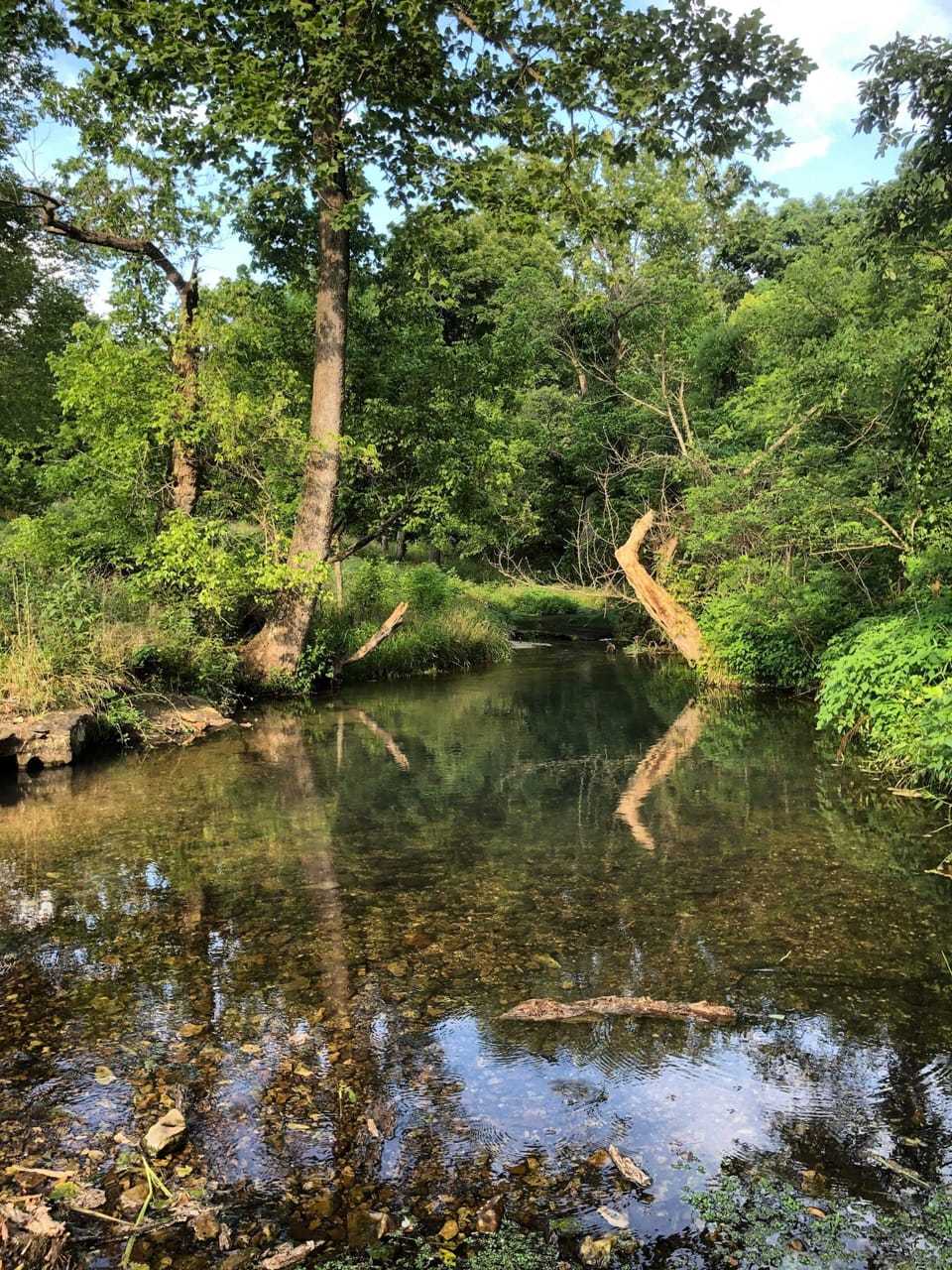 The deepest swimming hole is approx 3 - 4 feet deep, perfect for small kids. 