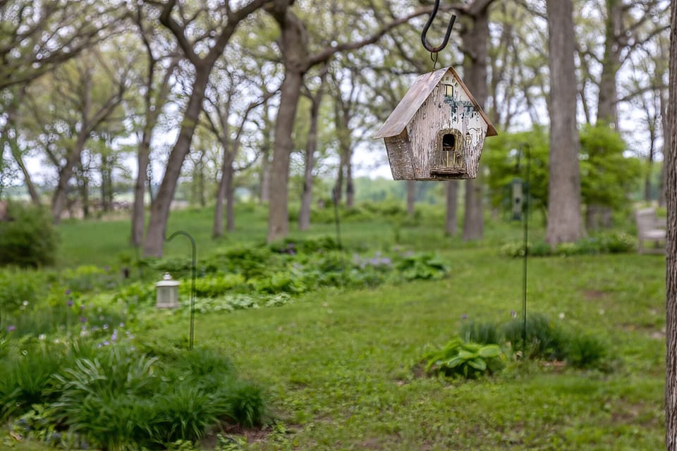 1c6c8a74-abfa-4074-8f51-16071ab89add