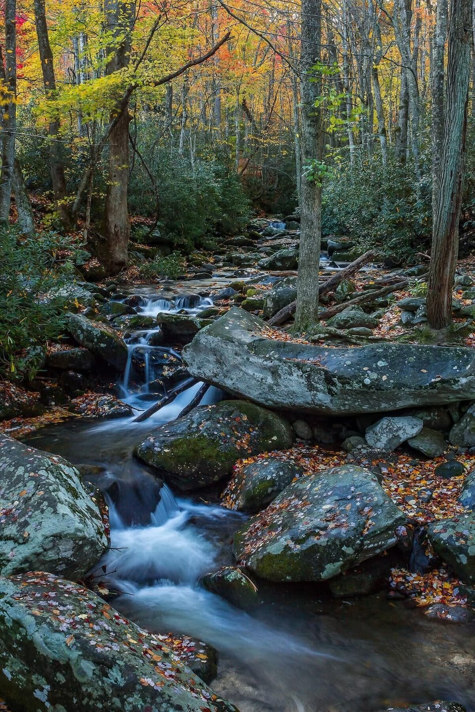Book now and experience the magic of the Dollywood and Smokies!