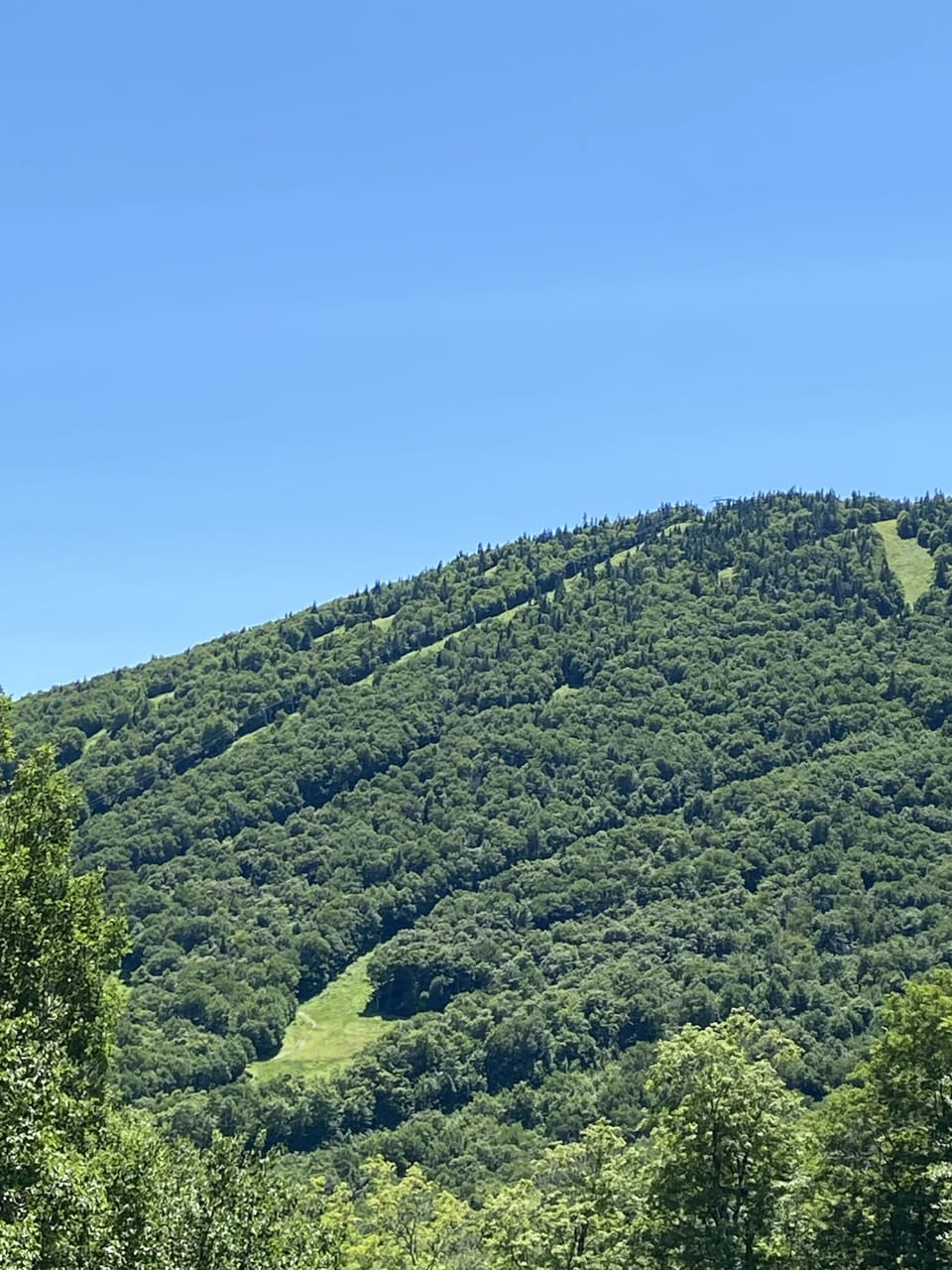 Summer is amazing too.