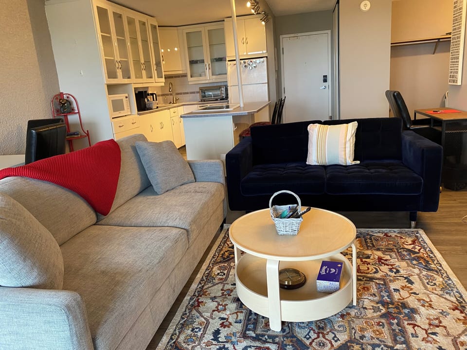 Cozy living area Pullout couch Double bed and a velevt love seat