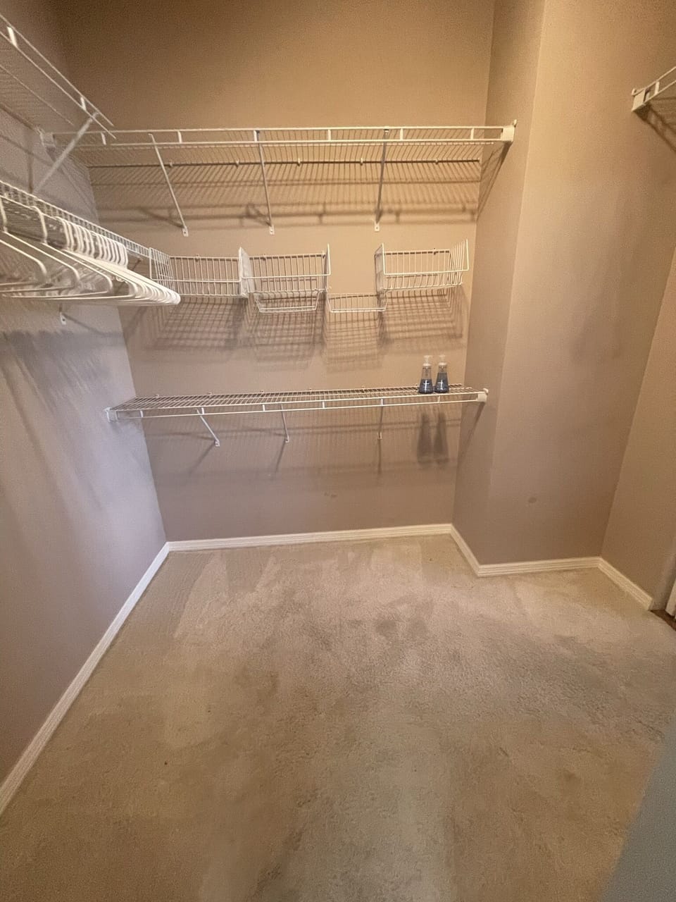 Spacious Walk in Closet off the Master Bathroom