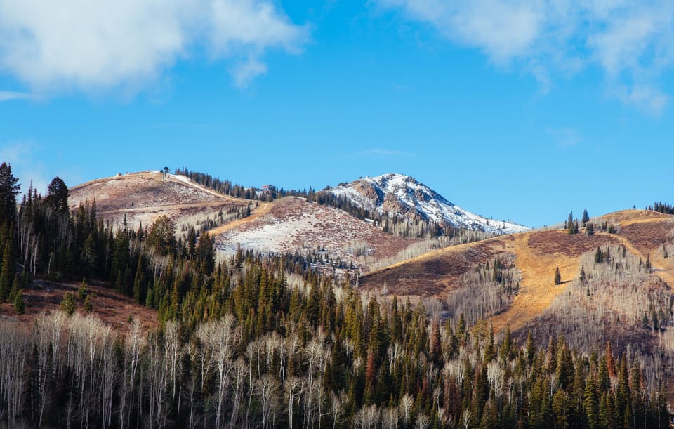 Tree, Fir, Nature, Outdoors, Mountain