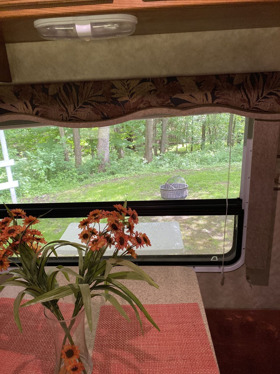 View from table