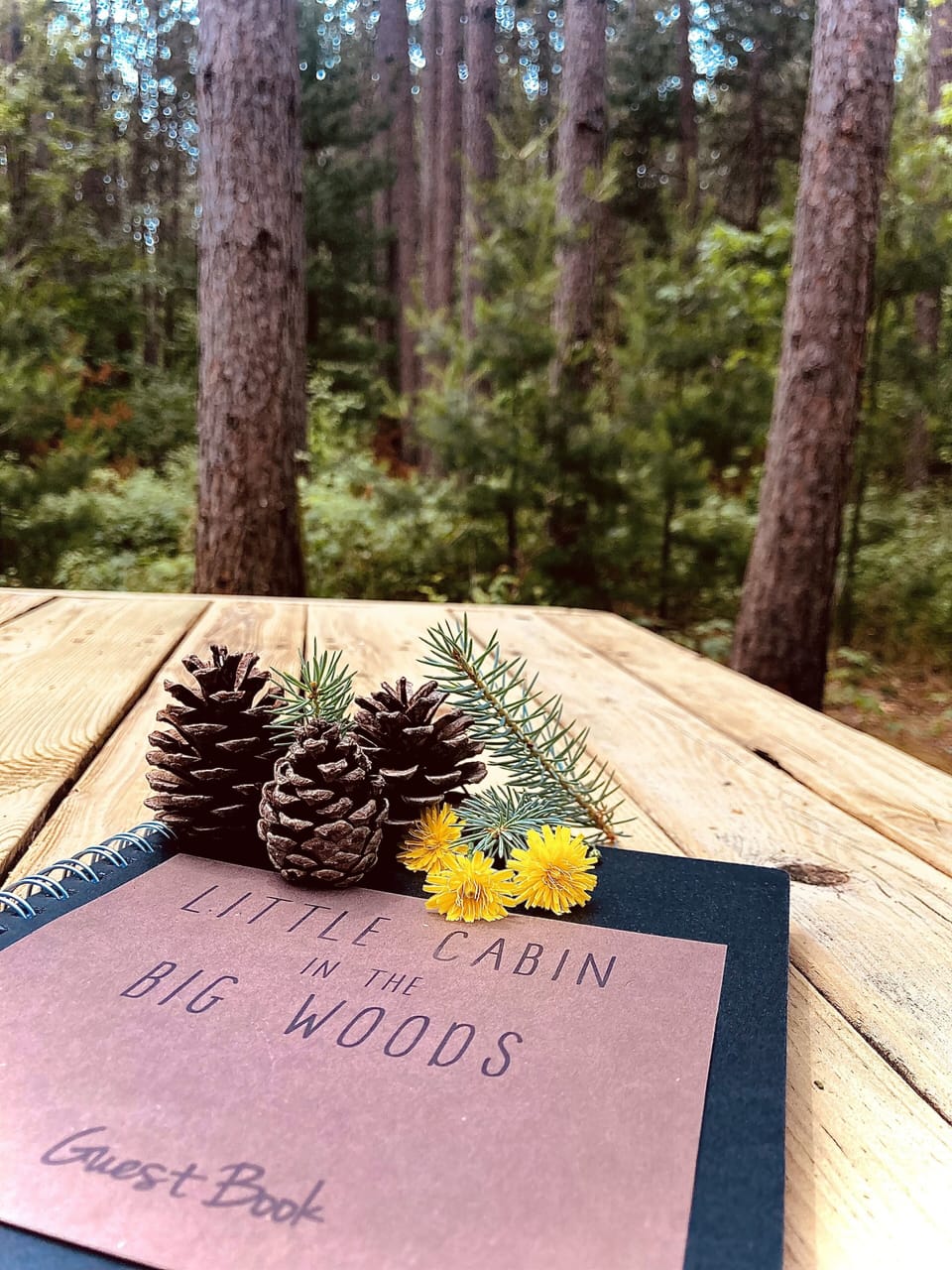 A guest took this photo and we loved it so much we had to include it in the pics