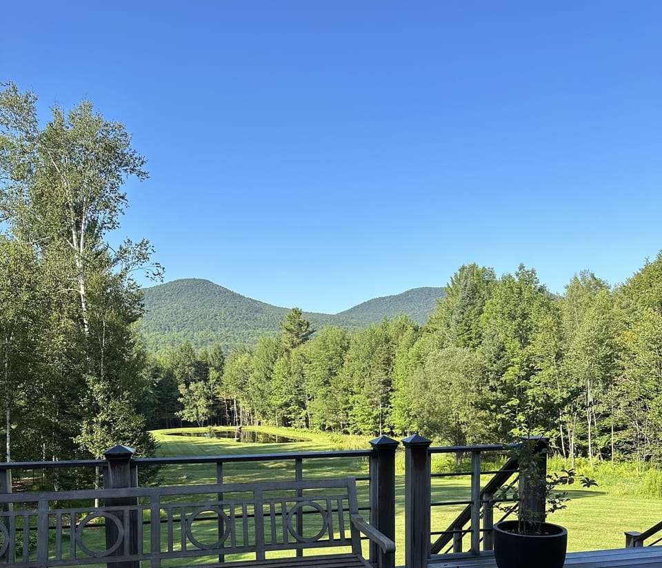View from back deck