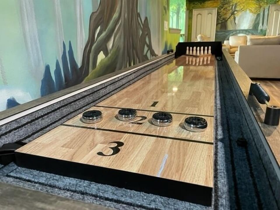Shuffleboard