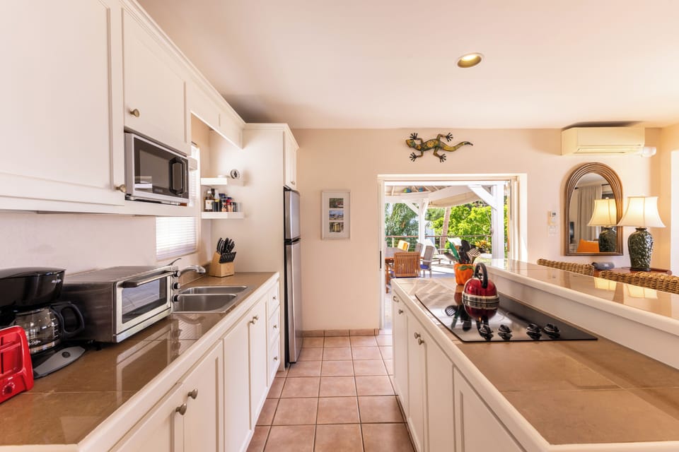 The recently updated main floor/ garden suite kitchen leads out to the pool deck