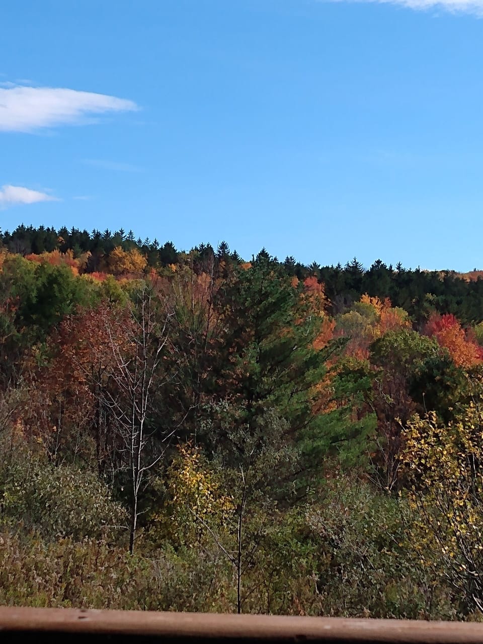 Fall at Camp Earth Connection