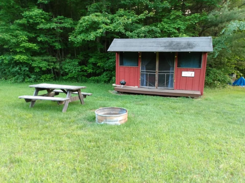 Red Eft Rustic Cabin