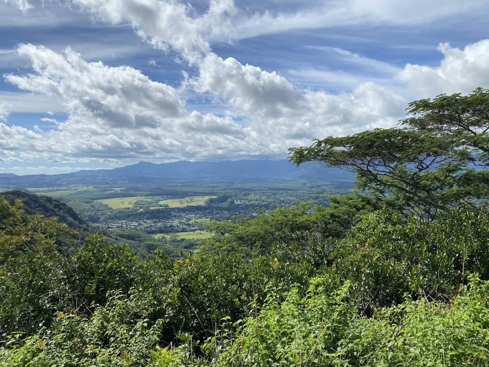 Along the Nou Nou trail