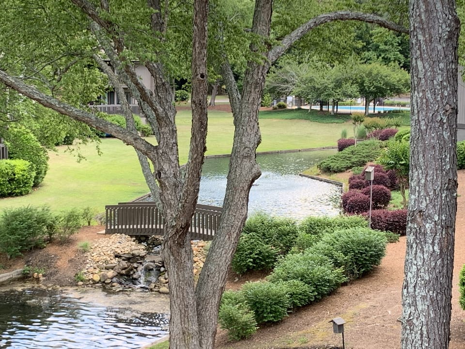 Beautiful view of waterfall and pool from dining area balcony.