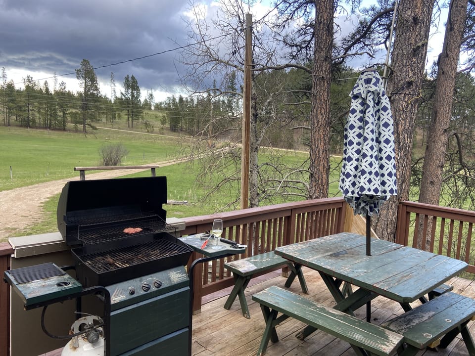 Deck , grill, picknick table, Northeast facing, main driveway off Jenny Gulch Rd