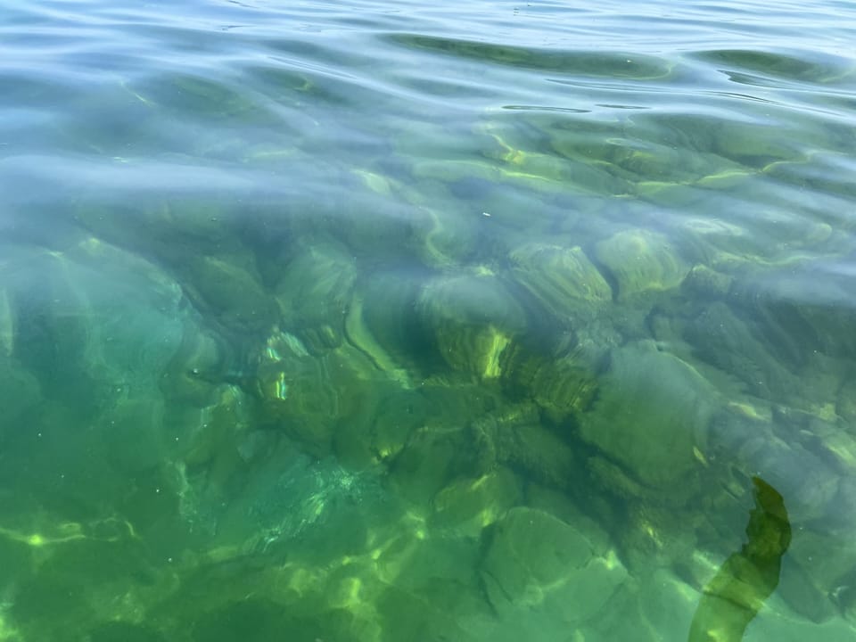 Kayak over or snorkel/scuba dive down to shipwrecks all around the peninsula.