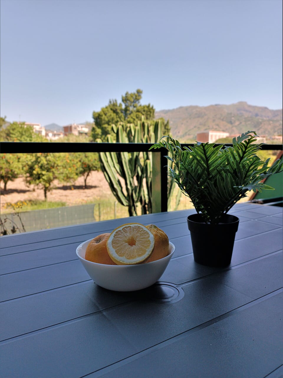View from property