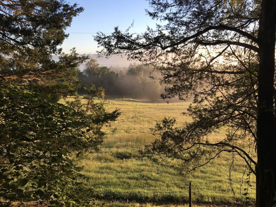 Back porch view