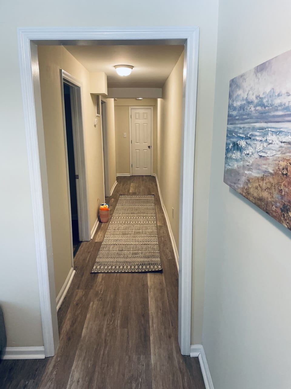 Hall toward the bedrooms