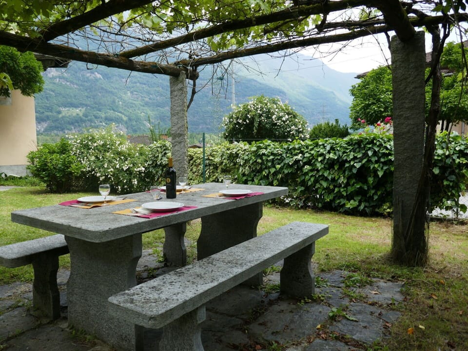 Plant, Table, Furniture, Property, Outdoor Bench, Shade, Natural Landscape, Outdoor Table, Tree, Outdoor Furniture
