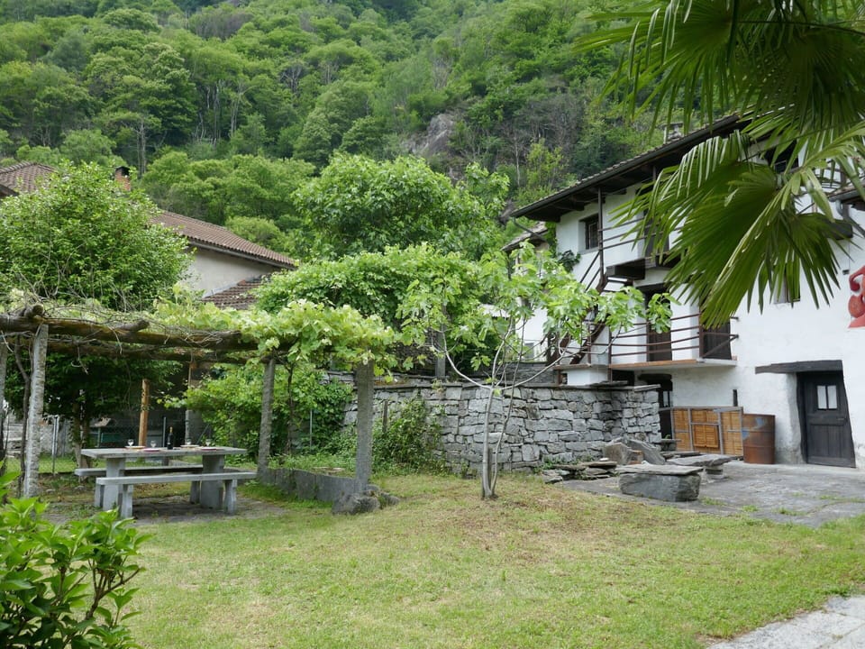 Plant, Property, Building, Window, Tree, Vegetation, Land Lot, Grass, Biome, Cottage