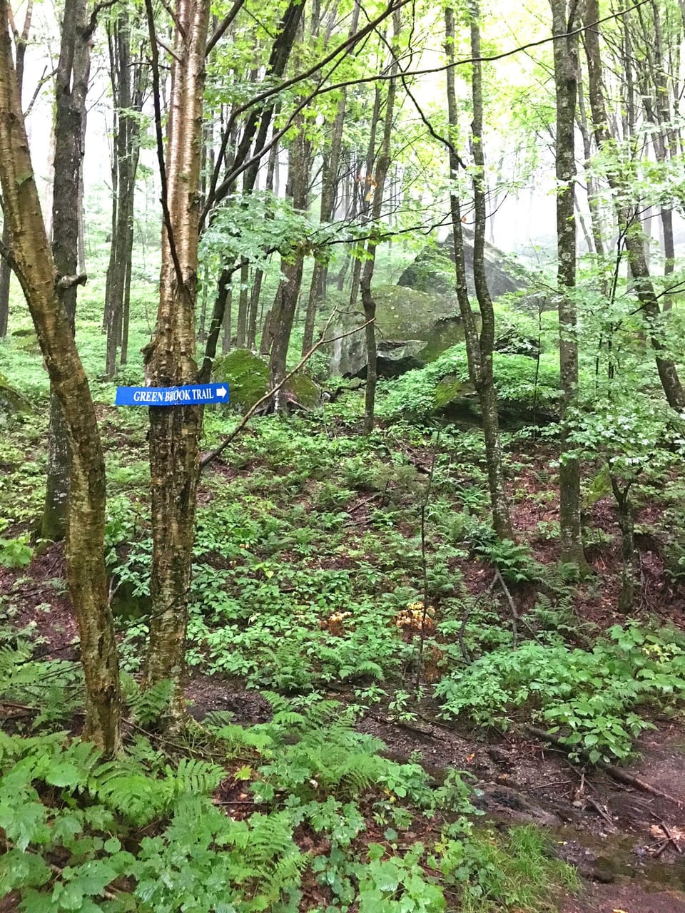 Green Mountain Trail access within 1 mile of the cottage, past the Mt Top Inn