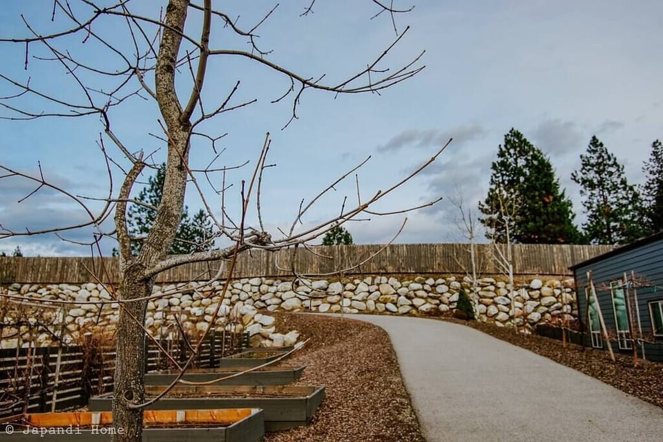 On your way to the Centennial Trail, you will discover an apple vine along with a quaint community garden to the left