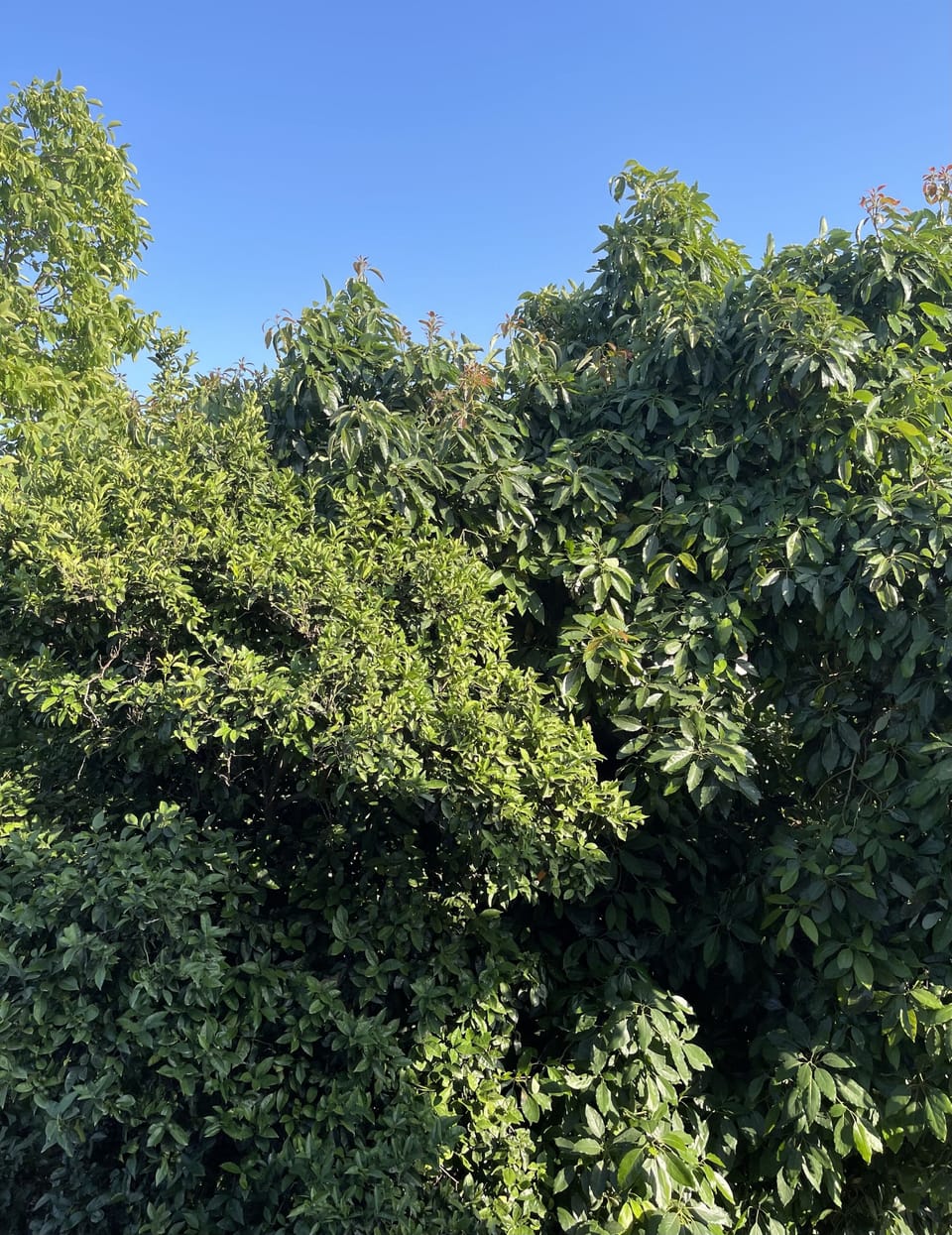 View from big bedroom 