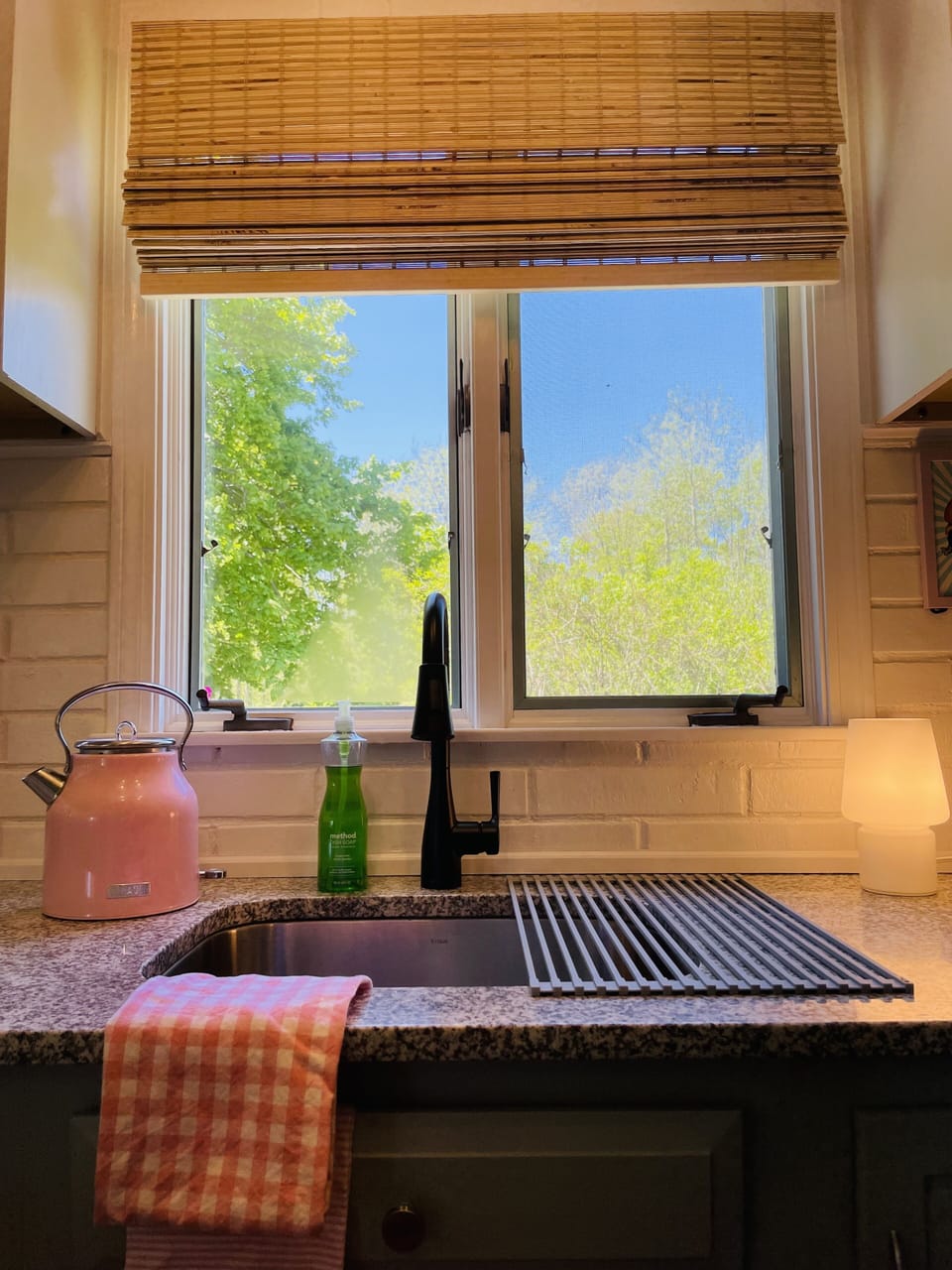 Kitchen window - view of backyard 