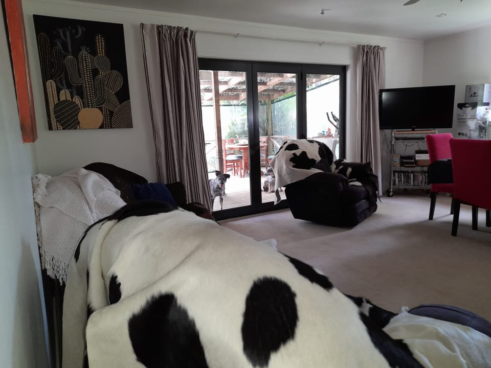 Dogs born early 2023, know to stay outside... mostly
Please Do Not encourage 