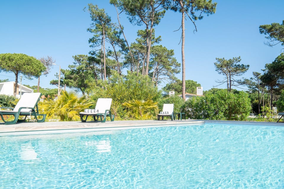 Crystal-clear swimming pool with loungers and pine trees — Villa Jade, holiday villa in Sintra
