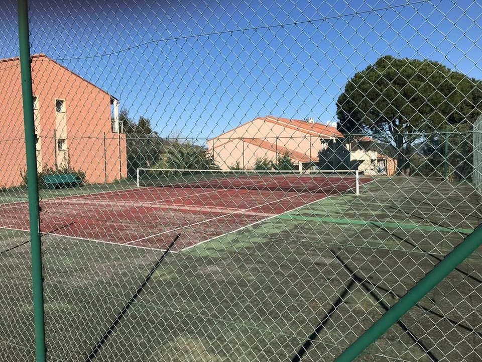Sport court
