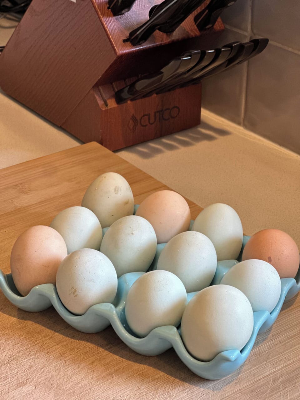 Fresh eggs daily!