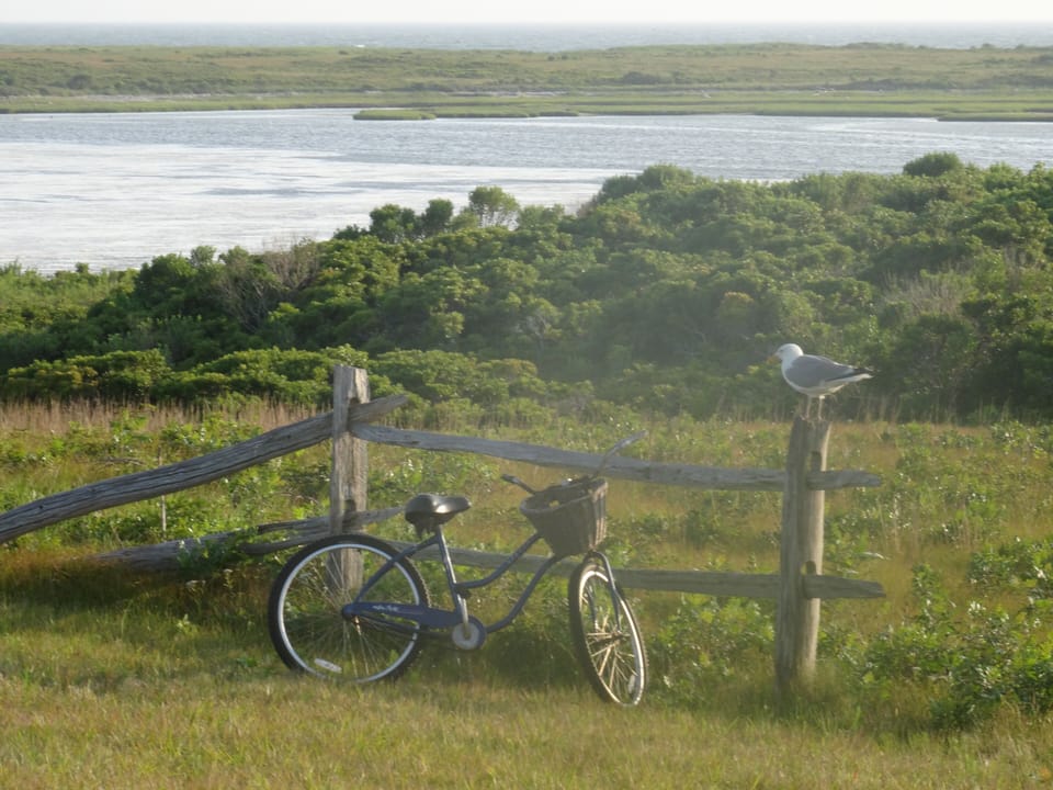 Bike Against Wooden Fence