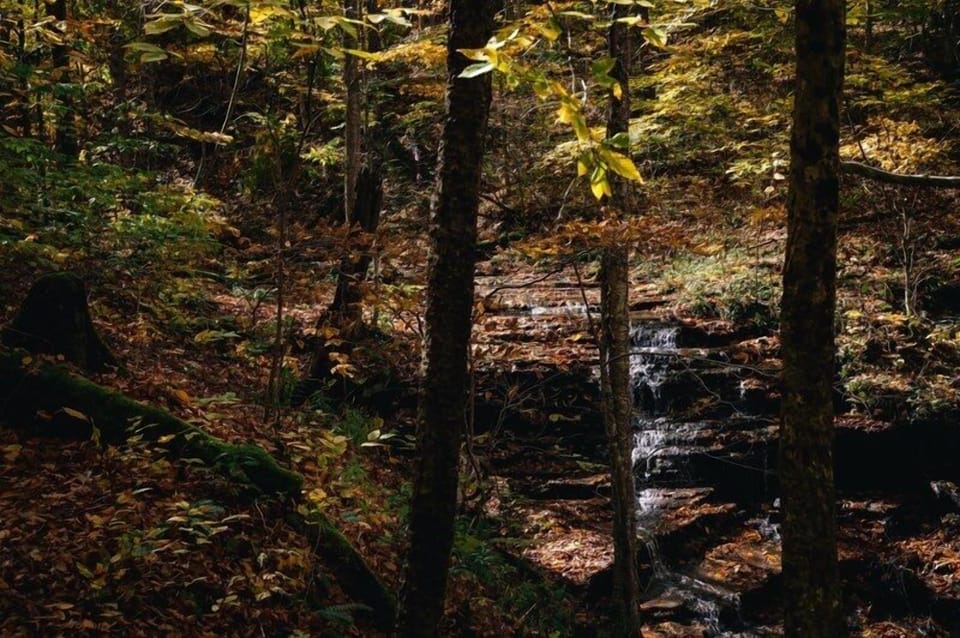 Elevation Vacation Rentals - Base Camp - Creek (1)