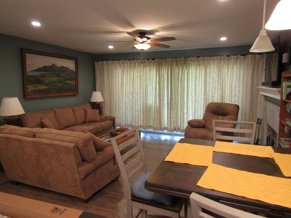 Living room and dining area