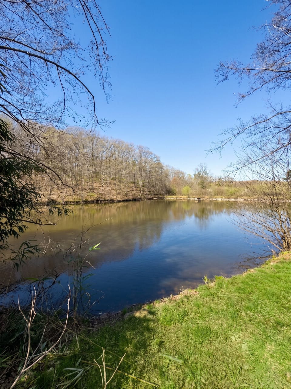 Lake view