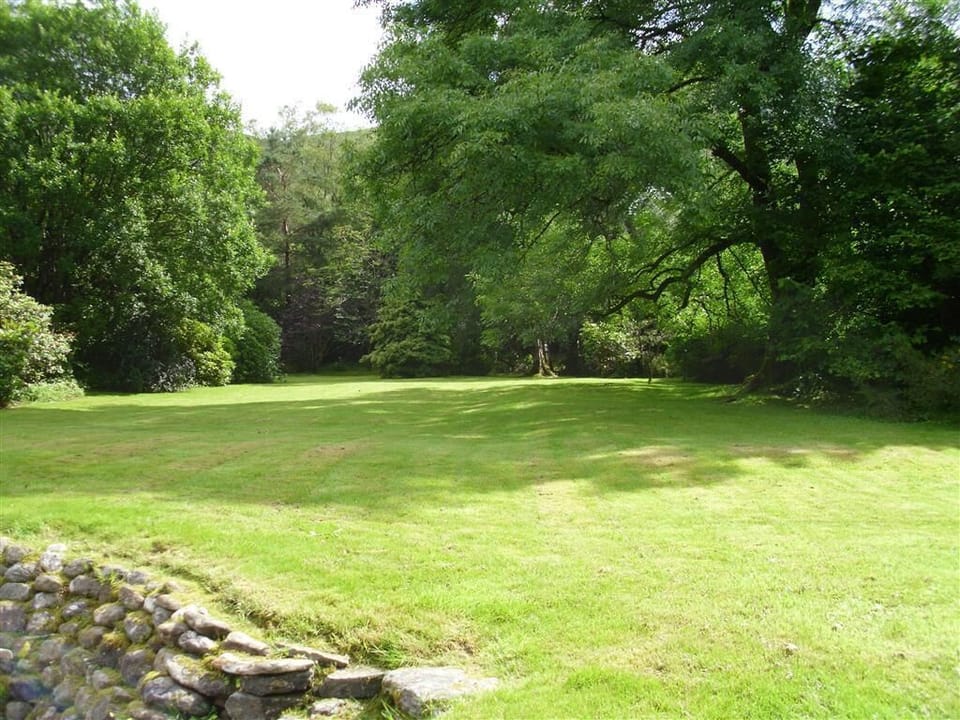 Plenty of garden