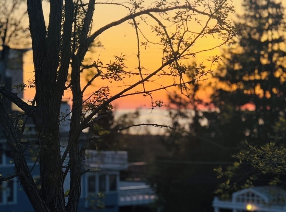View from upstairs deck off main bedroom