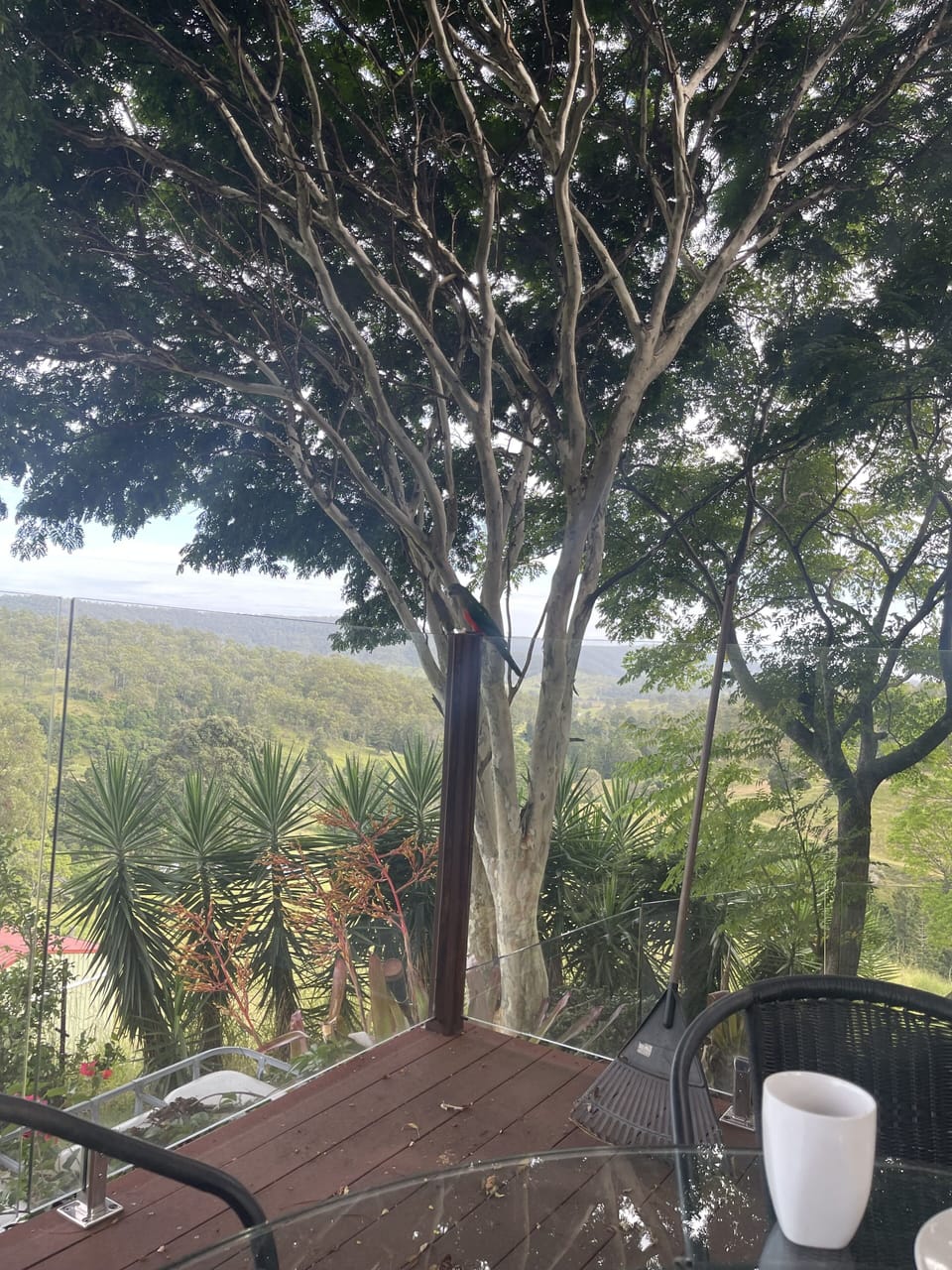 View from property