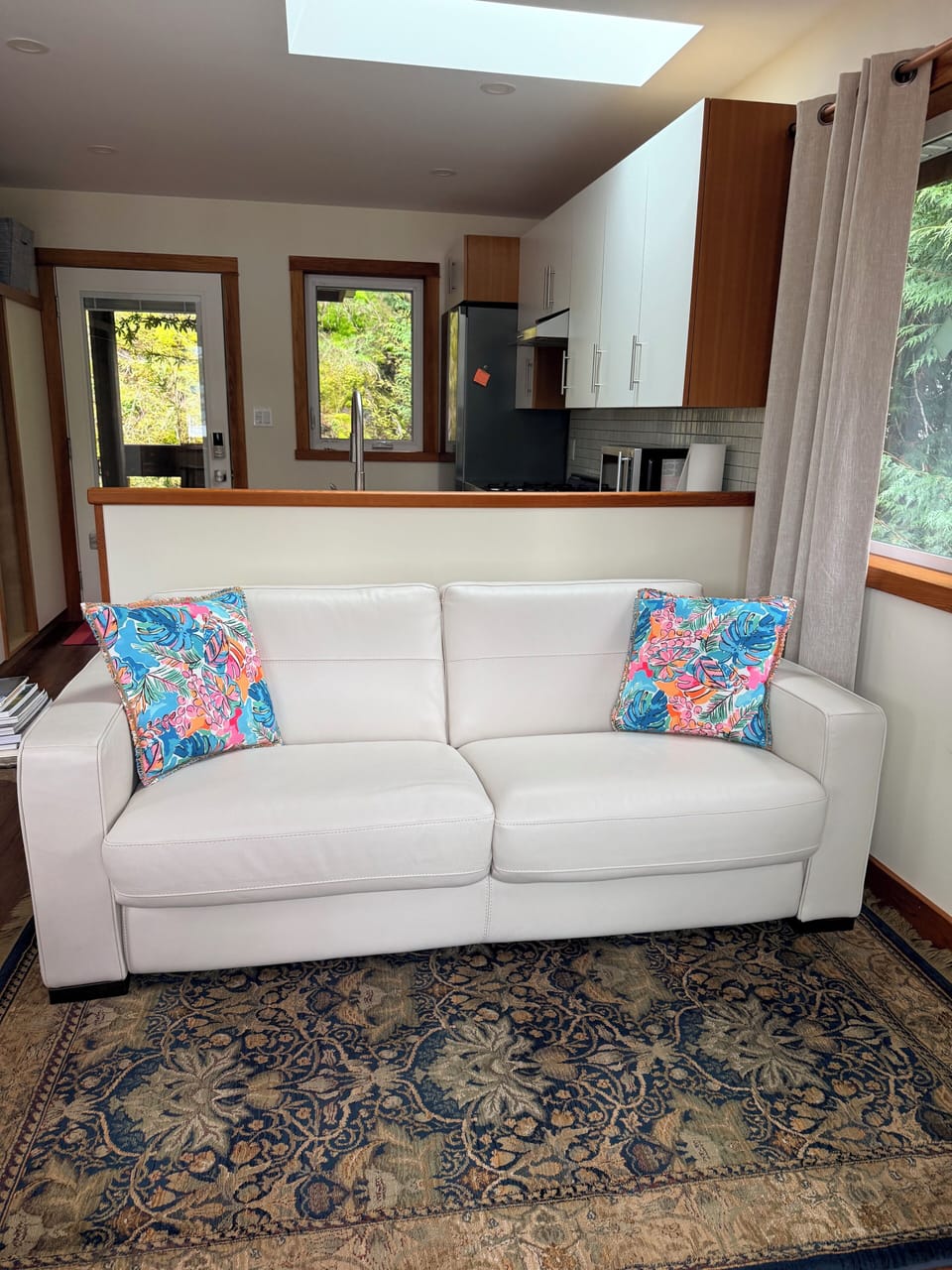 Pull out couch