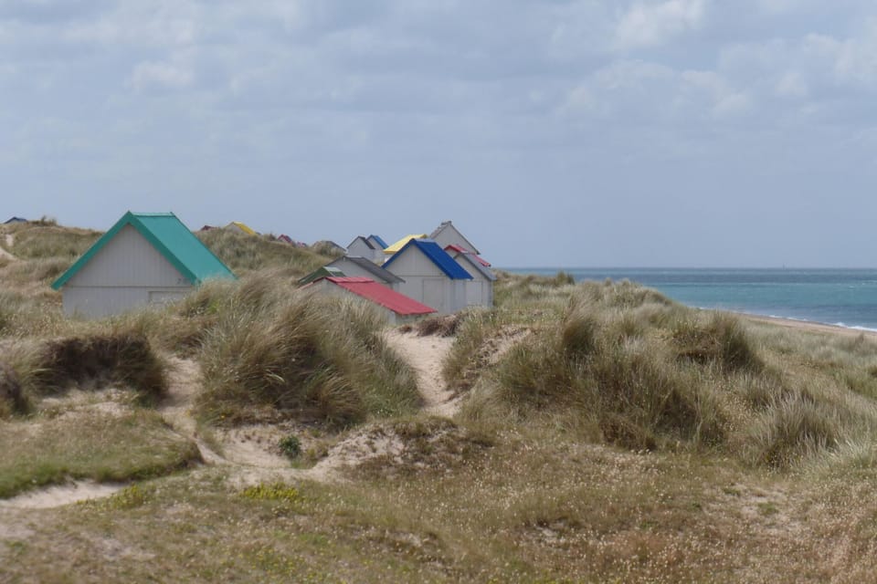 Region [summer] (>5 km)