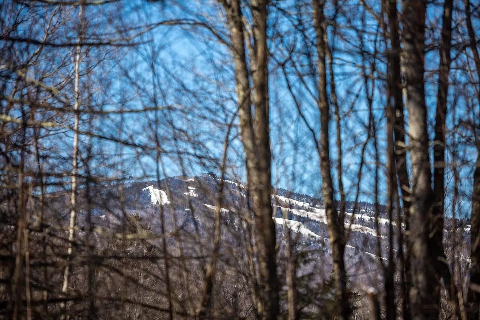skiing trails of Mt Snow view from the house