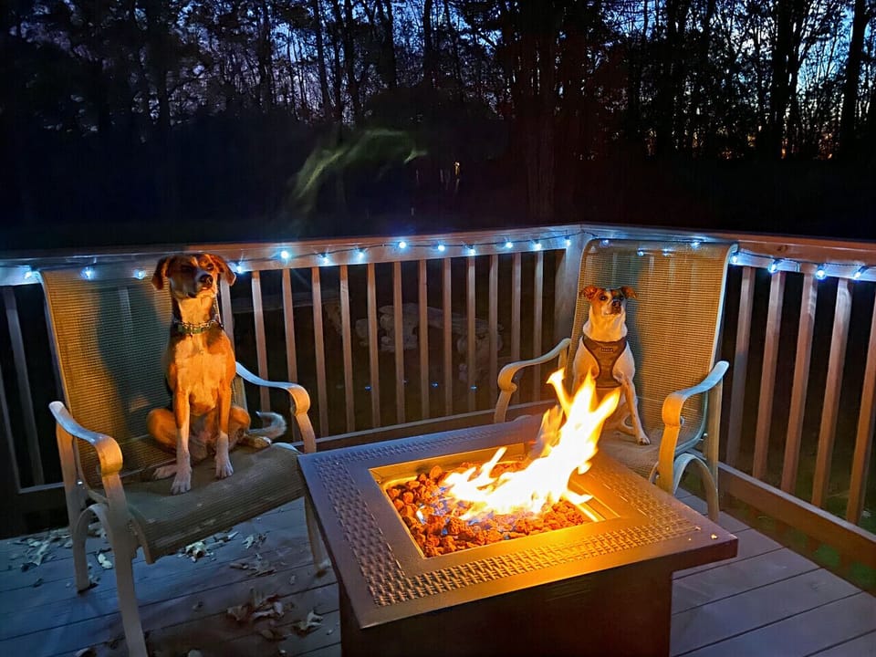 Even the pups can`t resist a good propane fire pit!