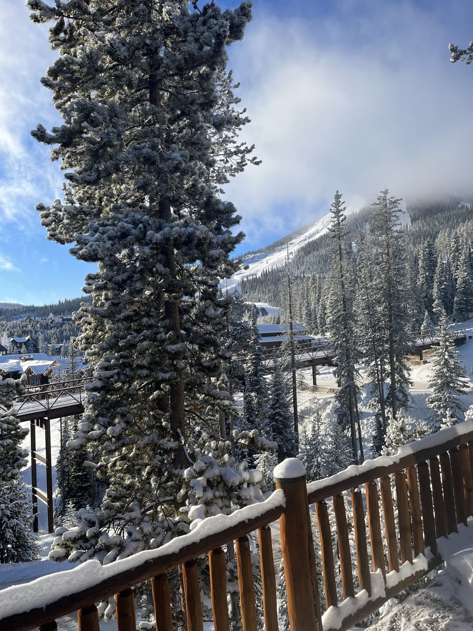 View from property