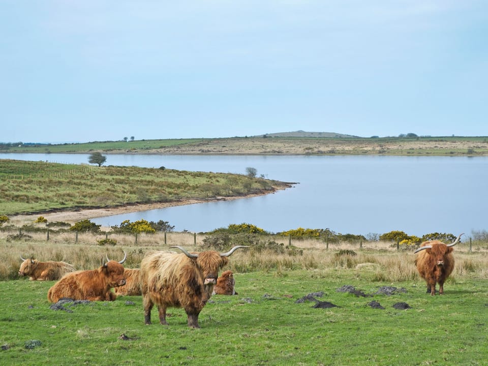 Colliford Lake | Bodmin Moor, Cornwall