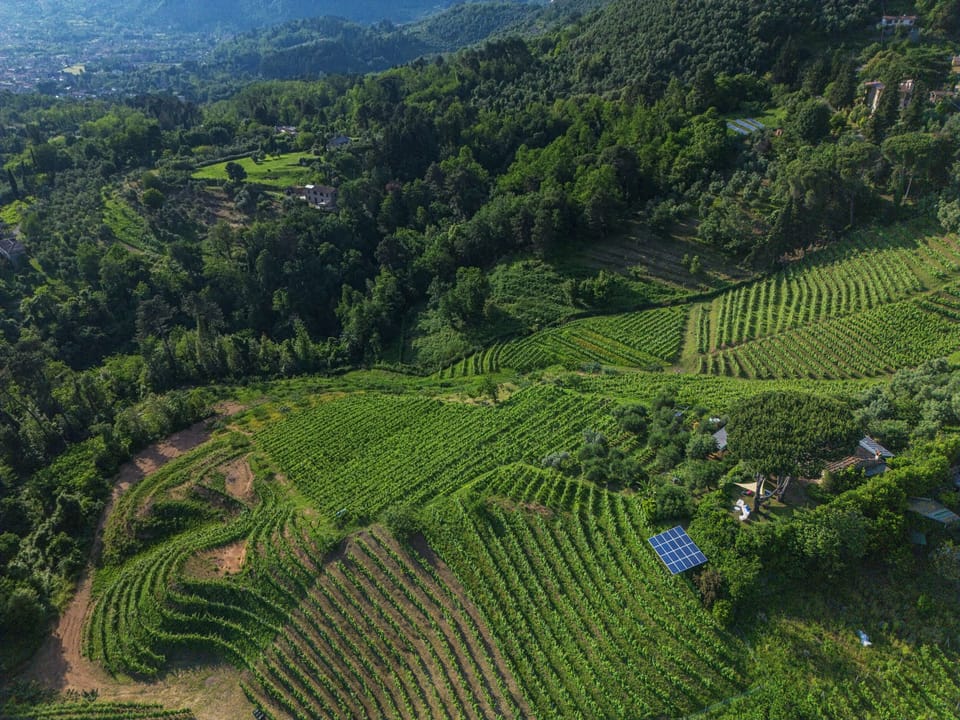 Le Case Del Grillo - Il Castagno By Tuscanhouses