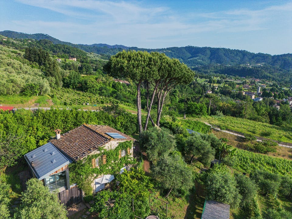 Le Case Del Grillo - Il Castagno By Tuscanhouses