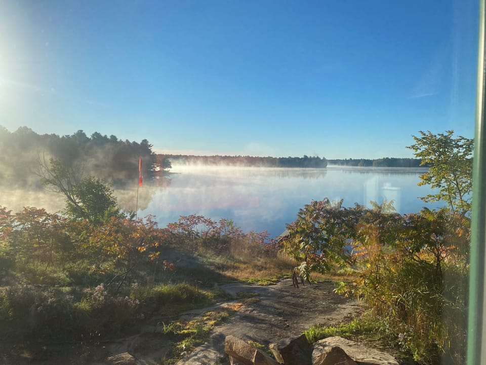 View in the morning off the porch