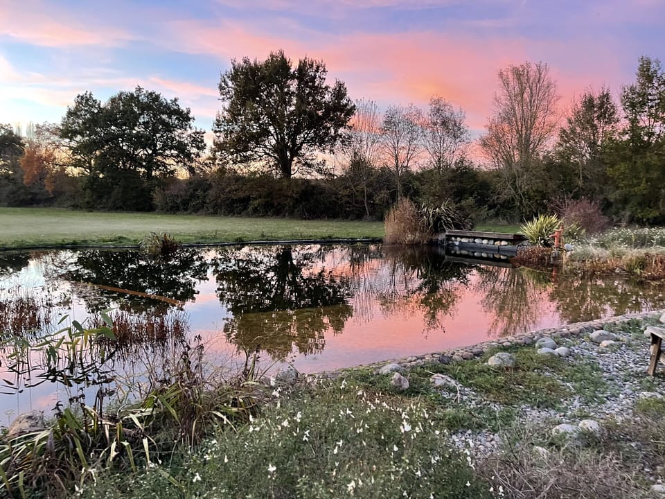 Spring sunset over the pool