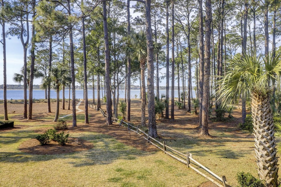 Outdoor Dining Area View