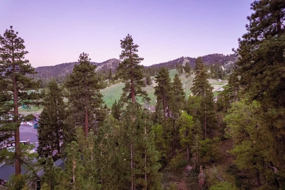 VIEW OF THE SLOPES FROM THE BACK OF THE HOME
